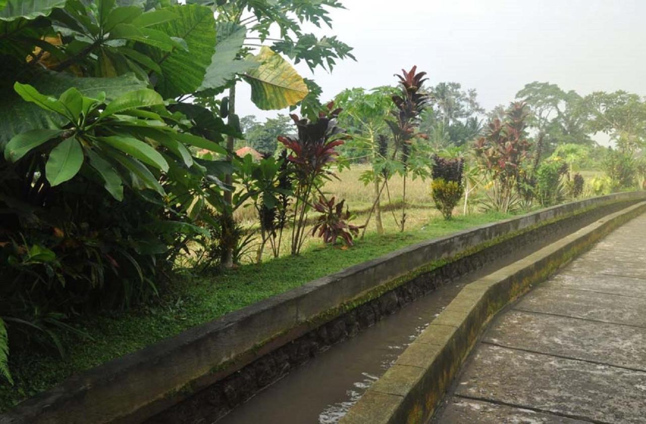 Candra Asri Bungalow Ubud  Exterior photo