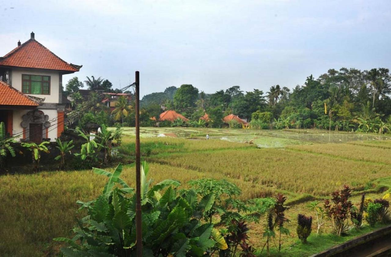 Candra Asri Bungalow Ubud  Exterior photo